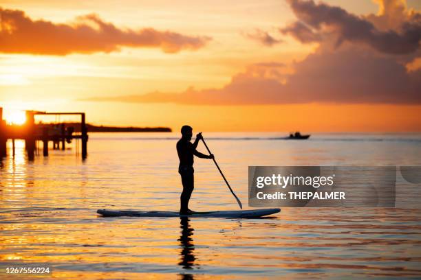 silhoutte von mann in seinen 30er jahren paddelboarding in florida - the florida keys stock-fotos und bilder