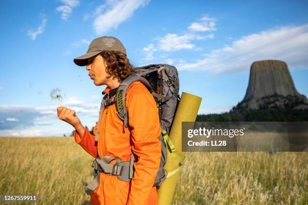 backpacker met een paardebloembloem - wensen stockfoto's en -beelden