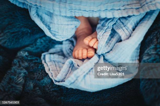 closeup newborn baby boy feet on blue blanket - baby blanket stock pictures, royalty-free photos & images