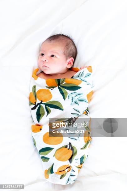 geswaddled pasgeboren babyportret - babydeken stockfoto's en -beelden