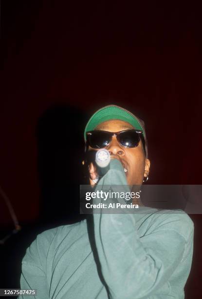 Del The Rapper 318 Del The Funky Homosapien Photos & High Res Pictures - Getty Images
