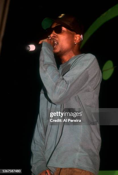 Rapper Del The Funky Homosapien performs at The Apollo Theater on February 22, 1991 in New York City.