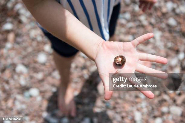 outstretched hand holding agate on rocky beach - beachcombing stock pictures, royalty-free photos & images