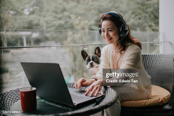 asian chinese beautiful woman work from home having virtual meeting with colleague at balcony with her pet french bulldog wearing headset - laptop headset stock pictures, royalty-free photos & images