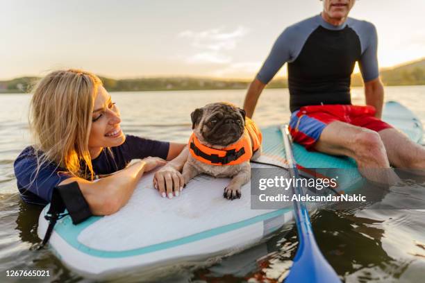Rowing Dogs Photos and Premium High Res Pictures - Getty Images