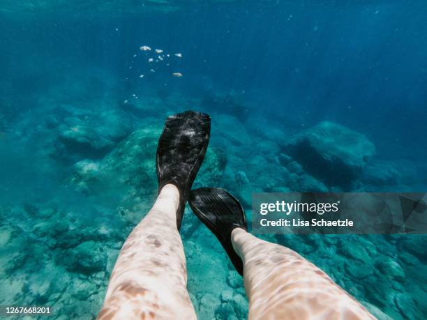 diver with snorkel in the sea - diving flippers stock pictures, royalty-free photos & images