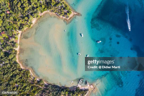 top down viewf of an idyllic bay and beach in the rab island in croatia - croazia 個照片及圖片檔