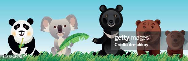 animals - koala stock illustrations