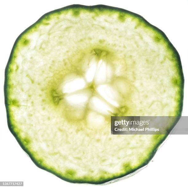 cucumber slice - cucumber stock pictures, royalty-free photos & images