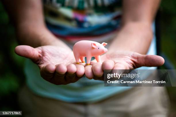 cropped image of hand holding a little toy pig. - sfruttamento degli animali foto e immagini stock