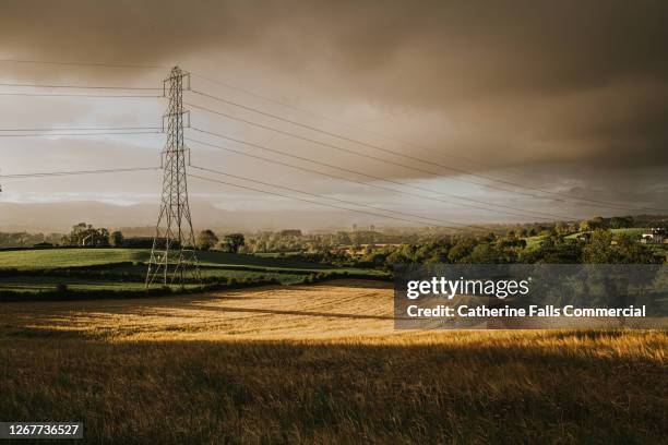 electricity pylon in an epic countryside landscape at dusk. - pylone-electrique photos et images de collection