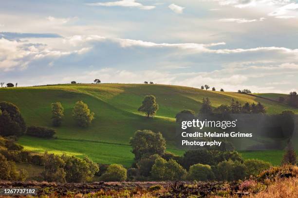 sun on the hillside - powys ストックフォトと画像