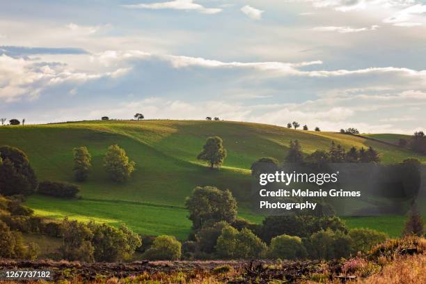 sun on the hillside - powys stock pictures, royalty-free photos & images