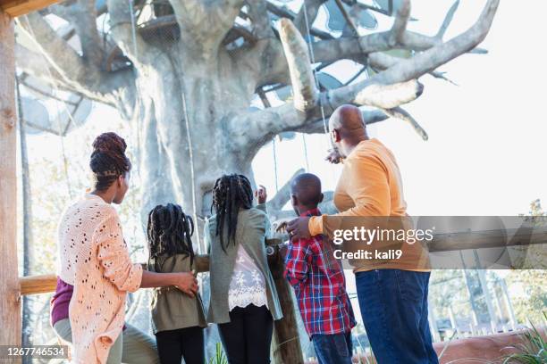 african-american family visiting the zoo - familie zoo stock pictures, royalty-free photos & images