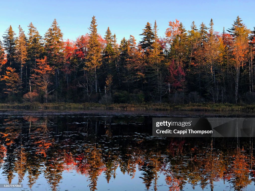 Autumn reflections near Rangeley, Maine USA during Fall