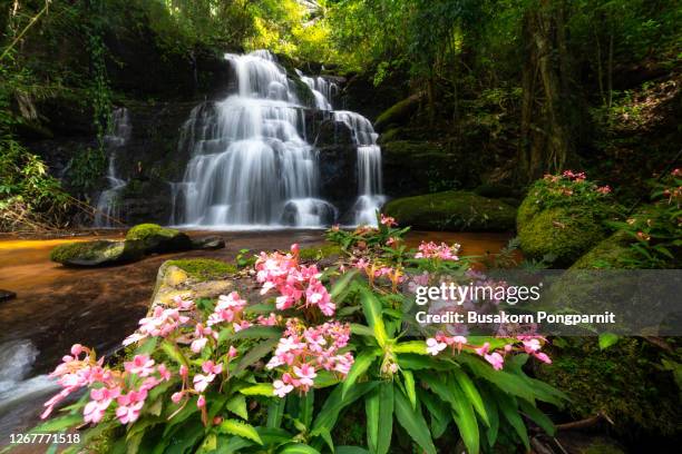 Pure Spring Waterfall 13,501 Natural Spring Water Waterfall Stock Photos, High-Res Pictures ...