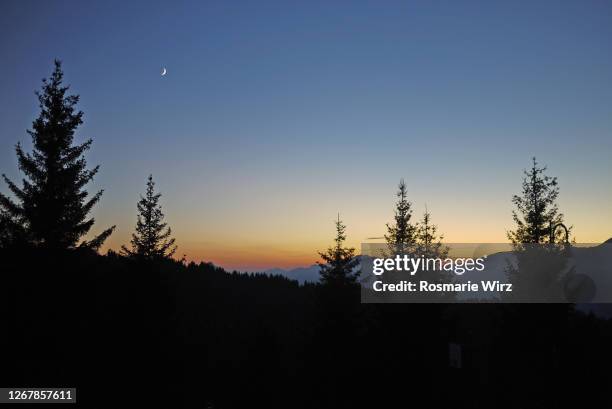 4,442 Tree Line Sunset Stock Photos, High-Res Pictures, and Images ...