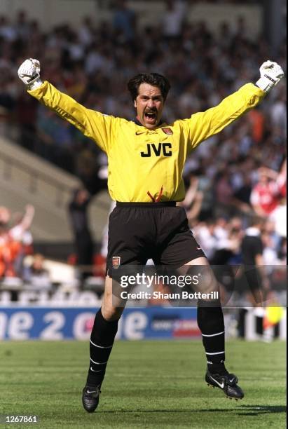 David Seeman Arsenal goalkeeper David Seaman celebrates after the FA Cup final ...