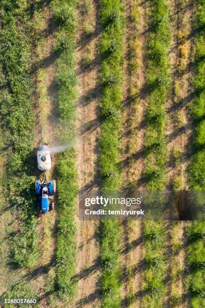 agriculturel spraying of an apple field - herbicide spraying stock pictures, royalty-free photos & images