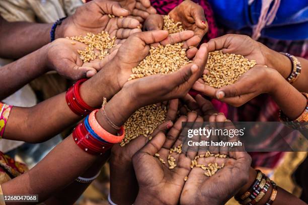 hands of poor - asking for food, africa - ethiopian food stock pictures, royalty-free photos & images