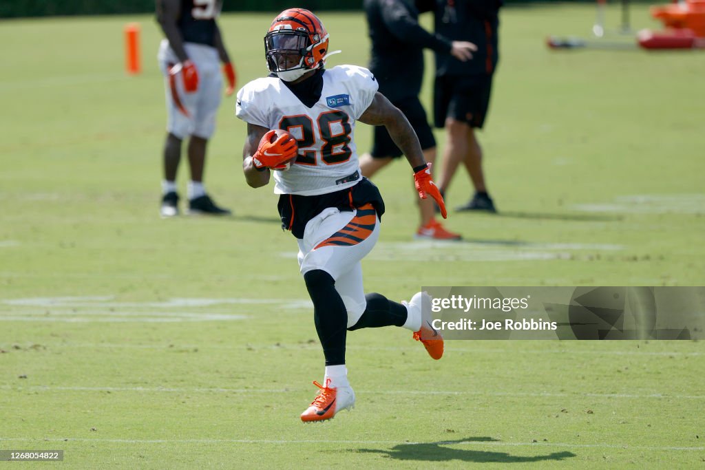 Cincinnati Bengals Training Camp