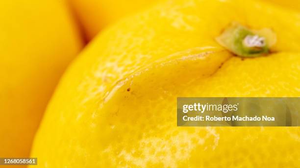 the peel of a yellow lemon fruit, extreme close-up - lemon peel foto e immagini stock