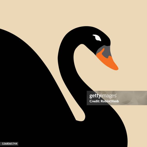 black swan icon - black swans stock illustrations