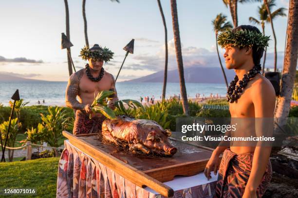 hawaiian people carrying a roast pig. - pig water stock pictures, royalty-free photos & images