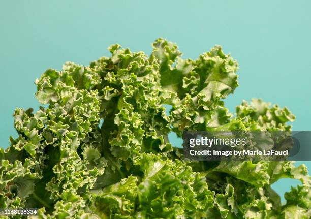 close-up of raw kale - green salad foto e immagini stock