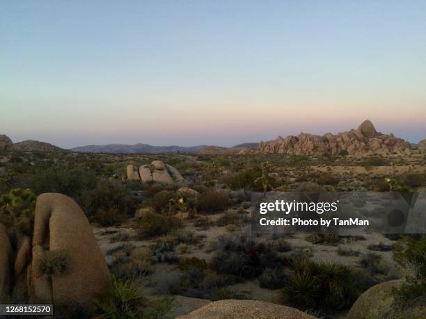 sunset at joshua tree national park. - joshua tree national park sunset stock pictures, royalty-free photos & images