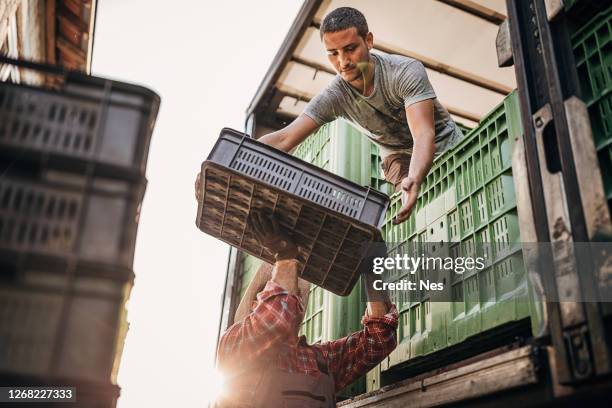 het laden van de vrachtwagen - fruit box stockfoto's en -beelden