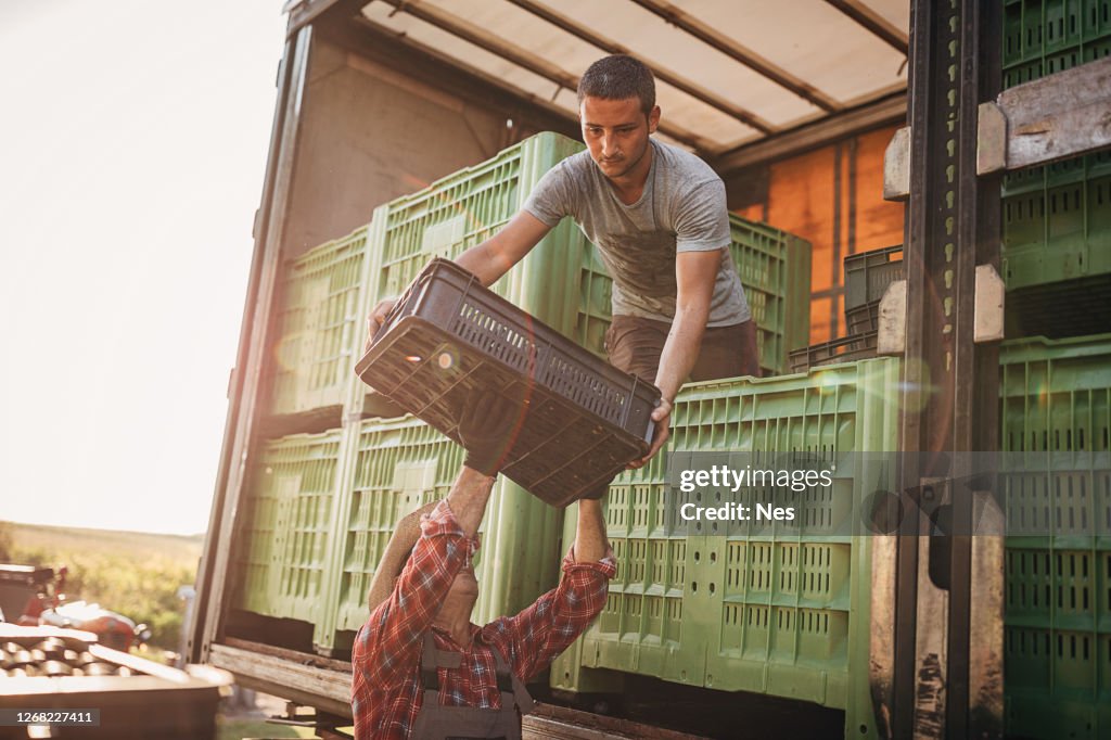 Loading Truck With 4 People Truck Loading High-Res Stock Photo - Getty Images