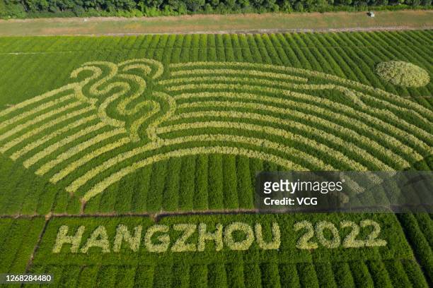 Aerial view of a grassland featuring the logo of 19th Asian Games Hangzhou 2022 at the Qianjiang Century City on August 18, 2020 in Hangzhou,...