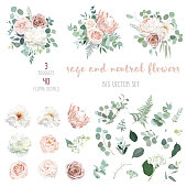 Pale pink camellia, dusty rose, ivory white peony, blush protea, nude pink ranunculus