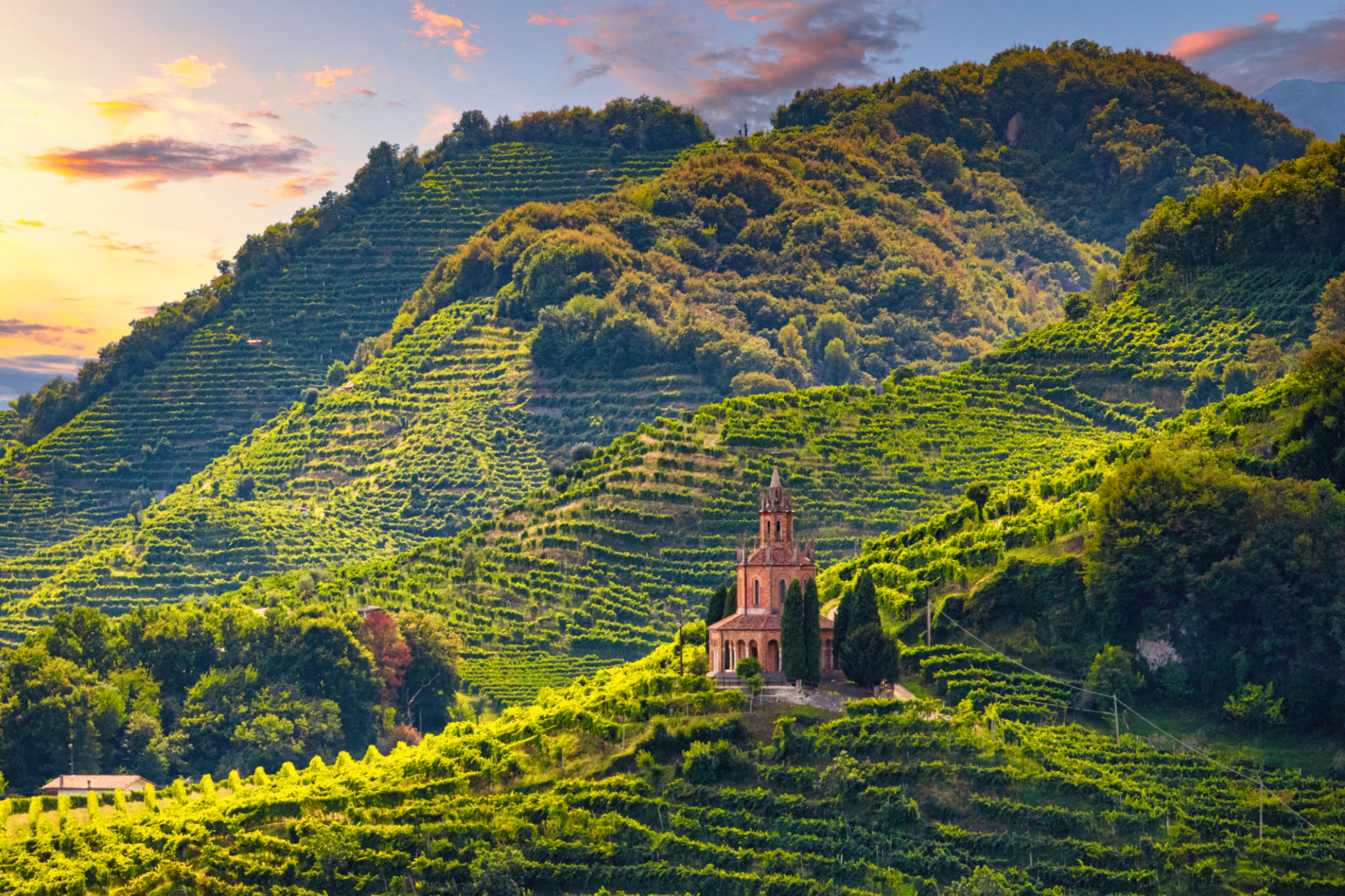 vineyard church