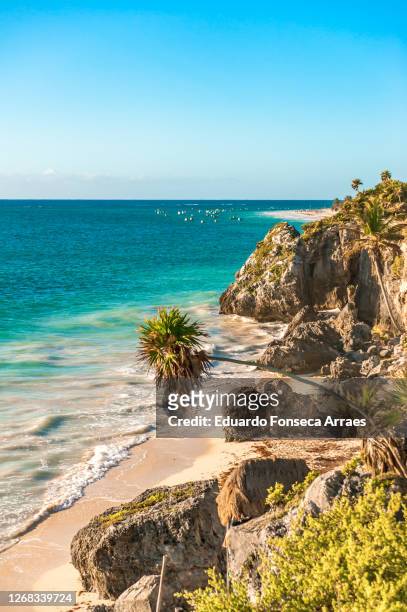 the morning sunlight shining on a deserted beach with cliffs, promontory, rocks palm trees and tropical vegetation, in front of the blue waters of the caribbean sea - tulum foto e immagini stock