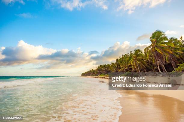 people enjoying the sunset over a beach in tulum with palm trees and waves, against a sunny clear blue sky with white clouds - mexiko stock-fotos und bilder