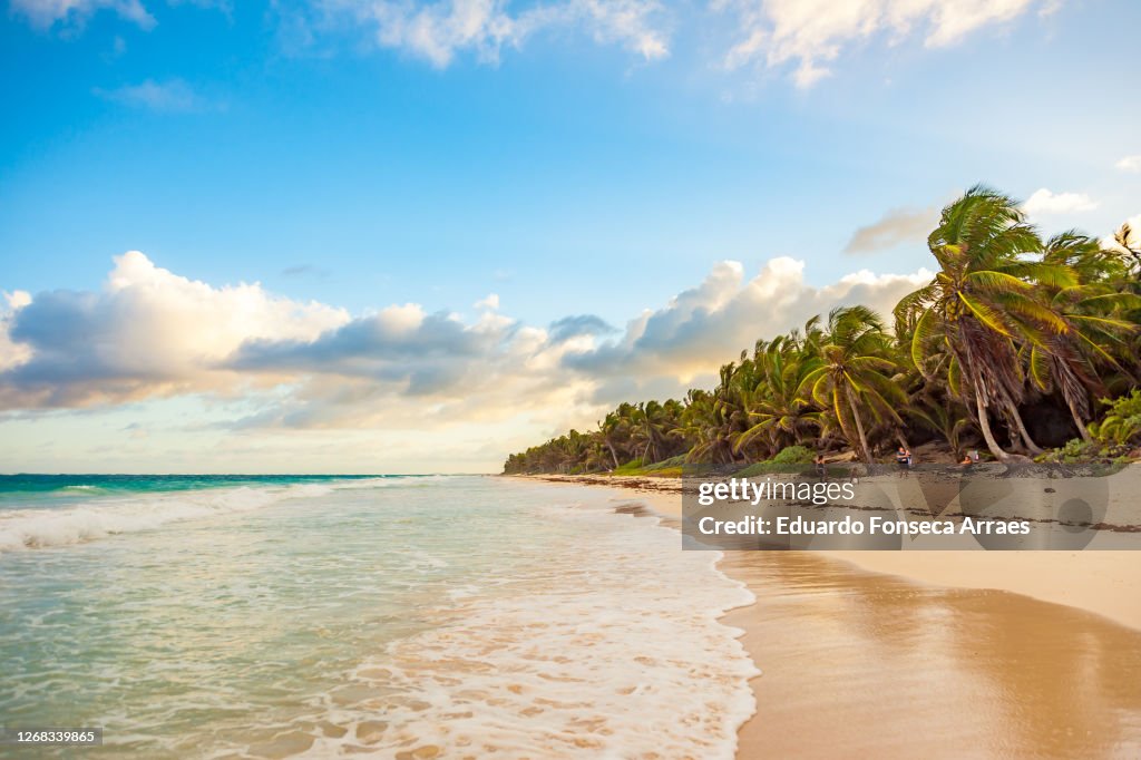 People enjoying the sunset over a beach in Tulum with palm trees and waves, against a sunny clear blue sky with white clouds