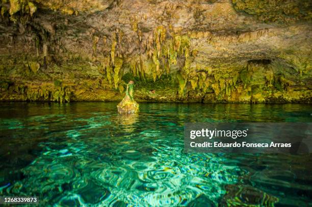 view of the transparent clean water of the dos ojos cenote, a cave filled with water, rocks and stalactites - dos ojos tulum mexico stock pictures, royalty-free photos & images