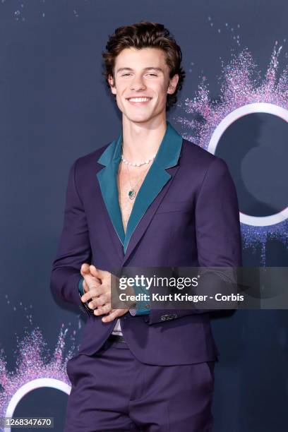 Shawn Mendes arrives at the 2019 American Music Awards at the Microsoft Theater on November 24, 2019 in Los Angeles, California.