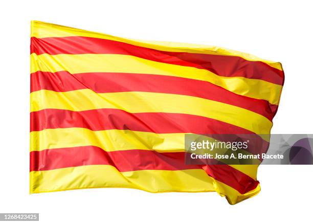 catalonia flag on a white background. - catalonia flag stock-fotos und bilder