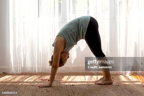 downward facing dog - downward facing dog position stock pictures, royalty-free photos & images