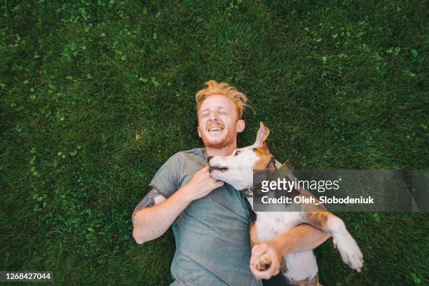 man laying on the  grass and playing  with the  dog - cute dog with man stock pictures, royalty-free photos & images