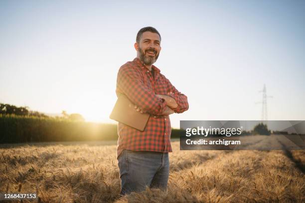 porträtt av en medelålders modern bonde som står med armarna korsade på vetefältet vid solnedgången - agriculture happy bildbanksfoton och bilder