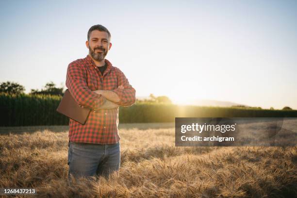 portrait of a mid-aged modern farmer standing with arms crossed in the wheat field at sunset - farmer arms crossed stock pictures, royalty-free photos & images