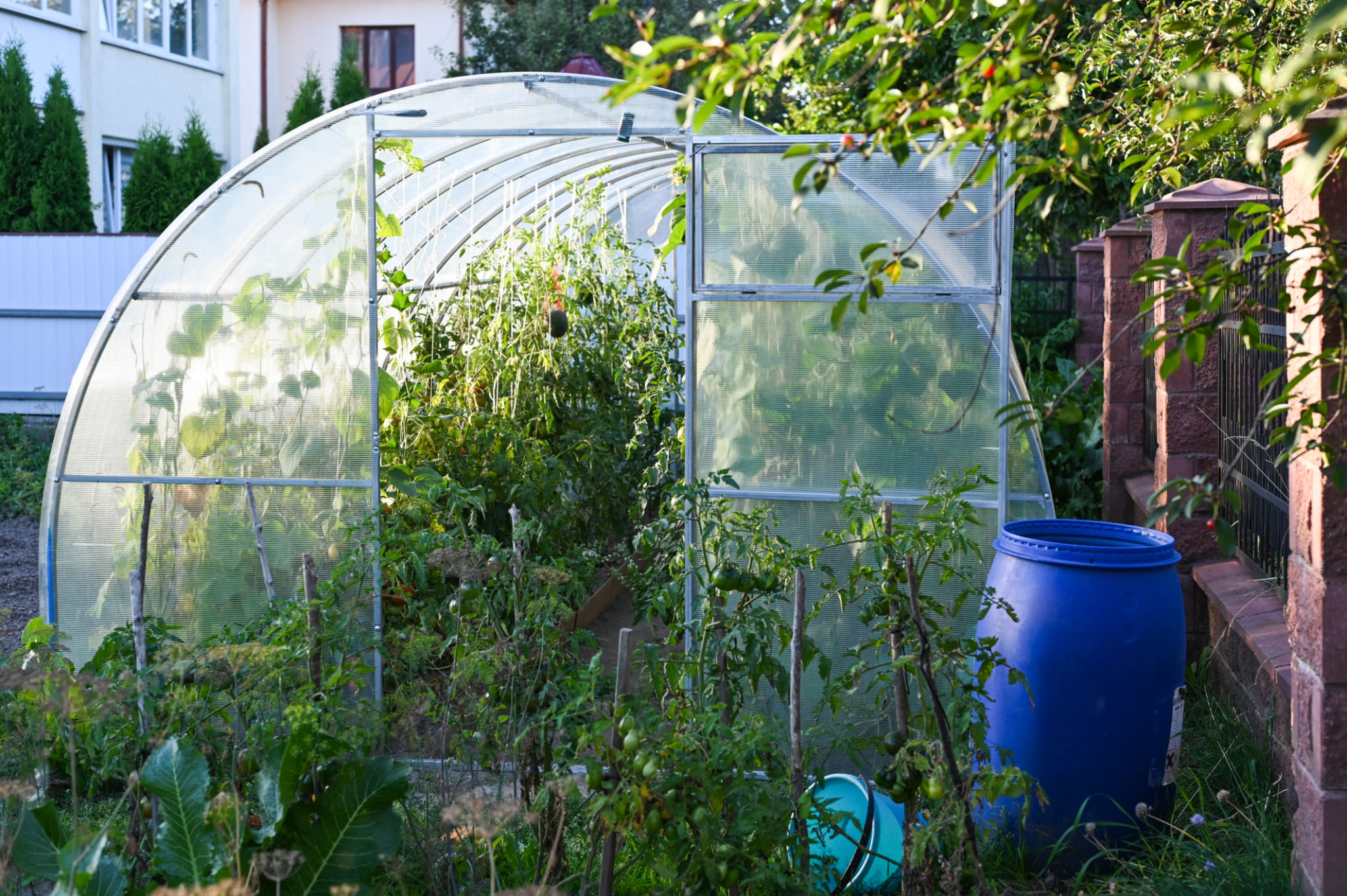 polycarbonate sheet