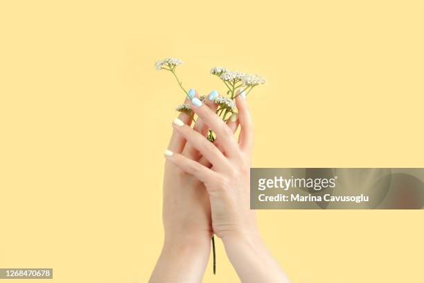 summer manicure in mint blue and pastel yellow colors. - women pastel stock-fotos und bilder