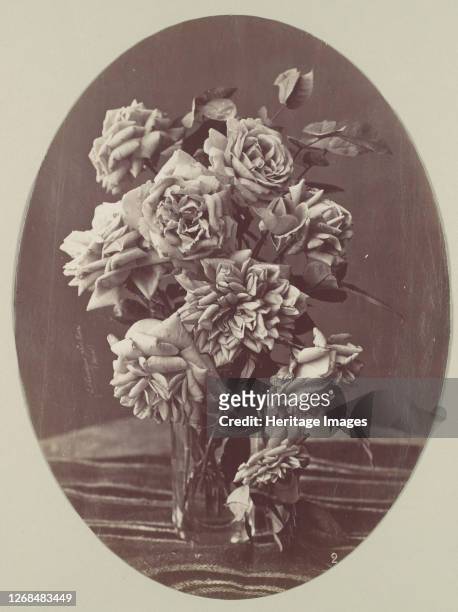 [Roses], circa 1875. Artist Eugène Chauvigné.
