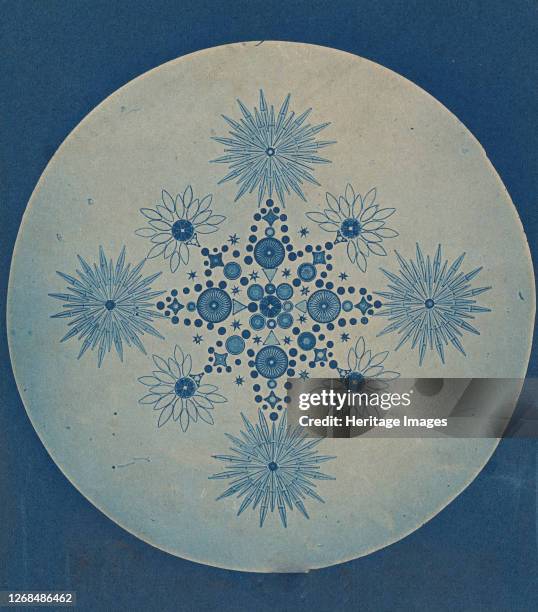 [Frustules of Diatoms], circa 1870. Artist Attributed to Julius Wiesner.