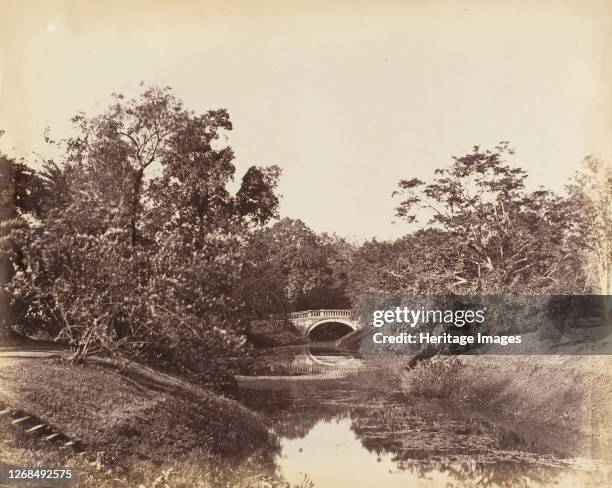 [Botanical Gardens, Calcutta], 1850s. Artist Captain R. B. Hill.